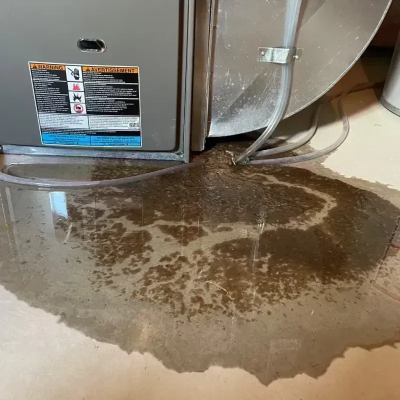 Appliance Leak Cleanup in Lake Forest, IL